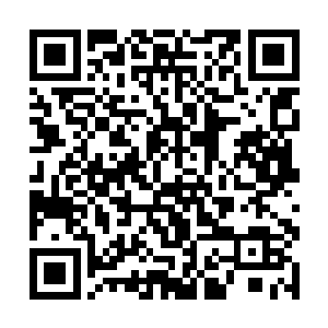 好不容易才看见了大厅之中横七竖八倒卧的十多个人二维码生成