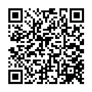 好不容易才遏制了蠢蠢欲动的感觉向周身各处扩散二维码生成