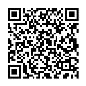 好不容易扳回的这点局面很快再度向着血河之主倾斜二维码生成