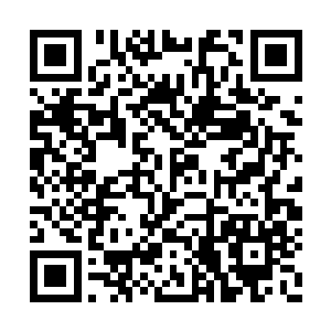 好不容易把鱼和小女孩都放到竹子车里推回了家二维码生成