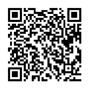 好不容易查到叶秋他们走了那一条高速路并且绕道追上去的时候二维码生成