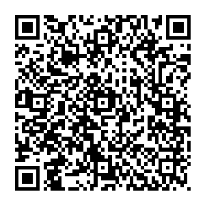 好不容易等着杜遥用各种锦衣玉食作为诱饵慢慢地让这个胆小如鼠的男人相信呆在无赦谷不仅不会要了他的小命二维码生成