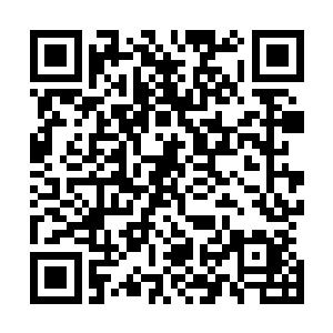 好不容易跑到了城外指定区域的五百人个个都喘不过气来了二维码生成