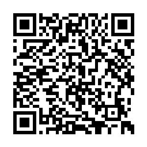 好似这些圣域绝学本就是属于自己领悟出的绝学二维码生成