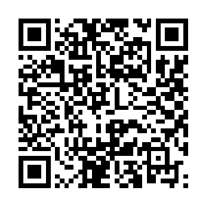 好像……好像也是母亲把一切都给她准备的妥妥的二维码生成