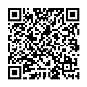 好像一转眼就把刚才白奇雪精彩的表演给忘到一边儿去了二维码生成