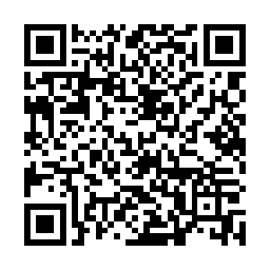 好像上次你被绑架的事情跟他有关……也许是我猜错了二维码生成