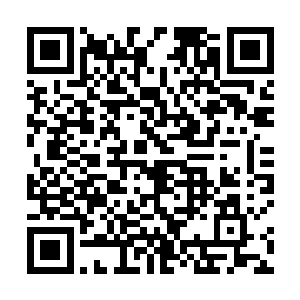 好像下一刻就会彻底湮灭在这无穷无尽的浩瀚威压之中二维码生成