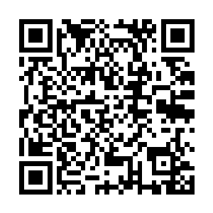 好像之前自己拿到一流豪门候选资格只是一场梦境……二维码生成