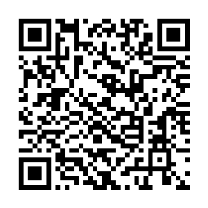 好像刚刚某个人十分自信的说这个工程他是拿定了啊二维码生成