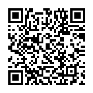 好像和姐姐说的那些很会骗人的高级色狼很像啊……二维码生成