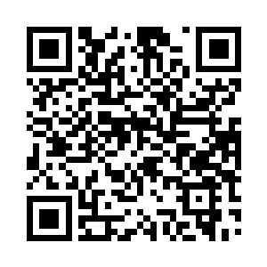 好像我会老老实实的在你家住下去的样子二维码生成