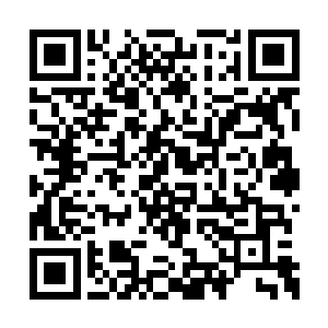 好像我现在本能的觉得现在这样的我才是正确的二维码生成