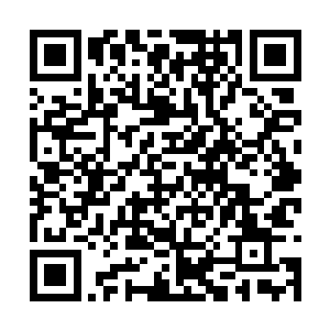 好像提起秦洛做出来的这些事情就让他非常的激动二维码生成