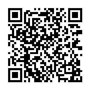 好像是判定了雷欢喜掌握了某种训蟹的独特方法二维码生成