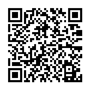 好像是孟猊爷爷当年融合了龙之九子当中第三子睚眦的血脉二维码生成