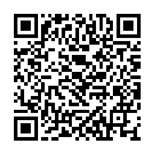 好像是看到了二三十年前第一次接到片约的自己二维码生成