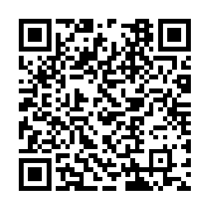 好像是神盾家族和堕城联手搞出了什么新的好东西二维码生成