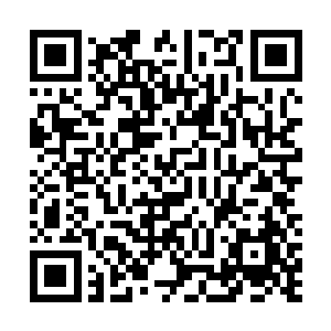 好像有一道奇怪的闪电从它庞大而臃肿的神经网络中掠过二维码生成