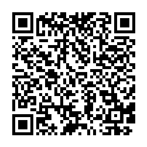 好像有着近乎无敌的破坏力……但是神蚕在里面却是半点损伤都没有的二维码生成