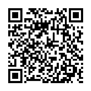 好像有种之前让雪如楼感觉到惊慌的不是她一般的错觉感二维码生成