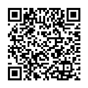 好像有那么一些错误的估计了自己在丁羽面前的位置二维码生成