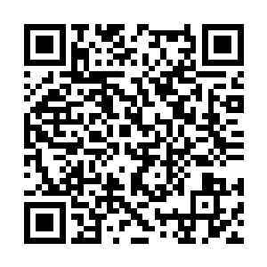 好像杀毒一般强力把流墨墨的神魂精细的筛过一遍二维码生成