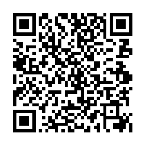 好像根本不是她在破落的院子里躲了一晚上一样二维码生成