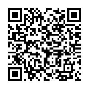 好像每一个叶家人都有着强烈反对这件事情的理由二维码生成