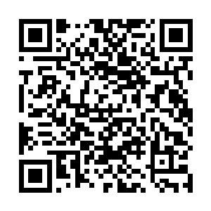 好像永远长不大似的――或许也只有像她这样心无旁骛二维码生成