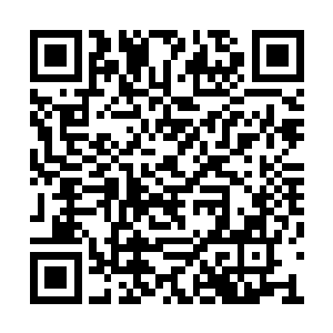 好像皇上的圣旨上并没有说不让主子出这静思宫二维码生成