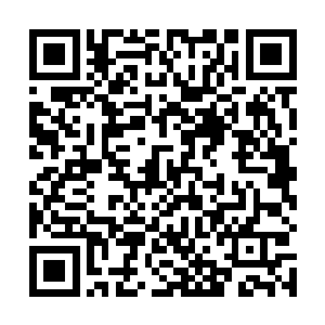好像知道在内城在拍卖场内绝对不可能动手的规矩一样二维码生成