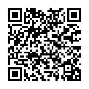 好像知道这样的机关根本就无法伤害到张潇晗一样二维码生成