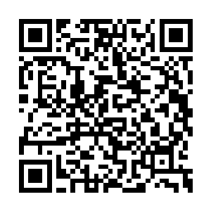 好像老子还活着是一件多么天理不容的事情一样二维码生成