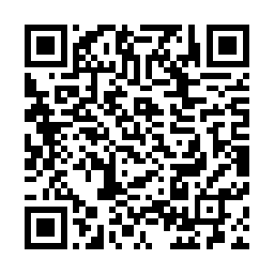 好像能引起无名法诀旋转的不是无须草而是下面的这个花盆二维码生成