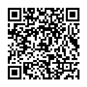 好像自己只不过是在陈述一个平常不过的事实而已二维码生成