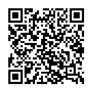 好像说不少文人因为运作各种版权成为亿万富翁二维码生成