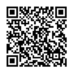 好像过江之卿一样整天围着杜平县武术表演团的人转二维码生成