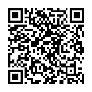 好像这一次贪腐案立下最大功劳的竟然还是一中的一个学生二维码生成