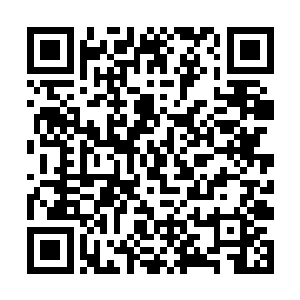 好像除了塞恩这个英雄就没有其他能拿出手的上单了二维码生成