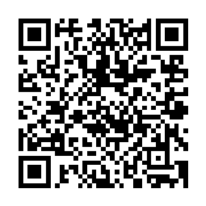 好像麻生次郎也来参加她的生日派对是一件很值得骄傲的事情二维码生成