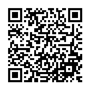 好像龙傲天只听说过变异天劫中的五行雷劫中的火劫好像是红二维码生成