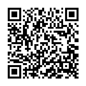 好像龙门的人对你的女朋友和你女朋友的闺蜜比较感兴趣二维码生成