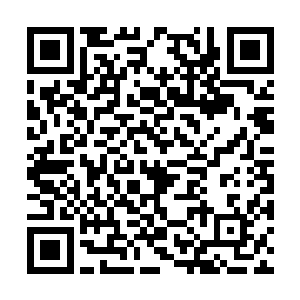 好几个魔相死士更是生生地被马纵横一刀劈为两段二维码生成