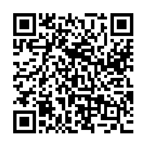 好几家国际著名的通讯社都报道了以库克头像照片为主题的新闻二维码生成