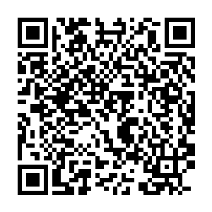 好几次差点被那十八地狱冥珠之内的幽冥吞噬之力给吸走了元神魂魄二维码生成