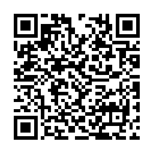 好几种颜色就像是几支混乱不堪的军队在脸上交锋二维码生成