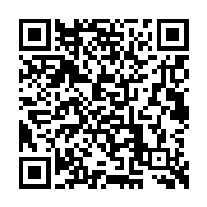 好吧……这是你自己放弃了佩戴防具装备的权利二维码生成