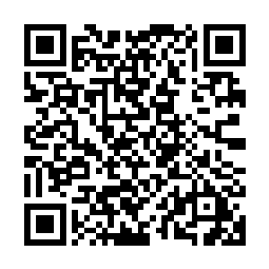 好吧……阿明这次发现日本方面每年以数百到过千万美元的投入二维码生成