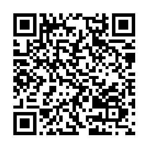 好在之前饮用的胆汁酒应该具有优秀的抗辐射作用二维码生成